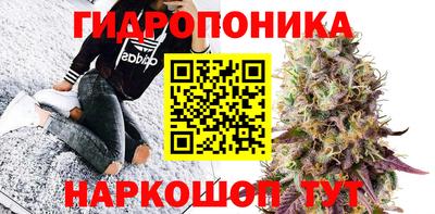 крисы Ипатово