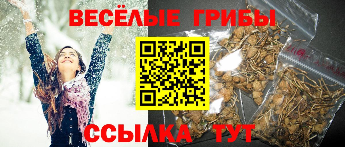 Псилоцибиновые грибы Psilocybine cubensis Воткинск