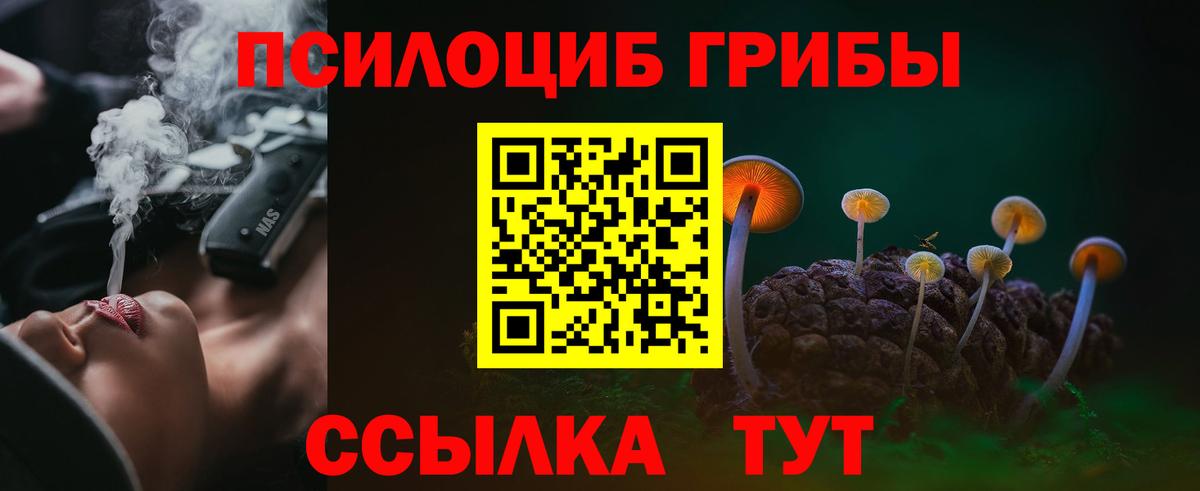 Псилоцибиновые грибы GOLDEN TEACHER  Вход с VPN  Воткинск  Псилоцибиновые грибы Cubensis 